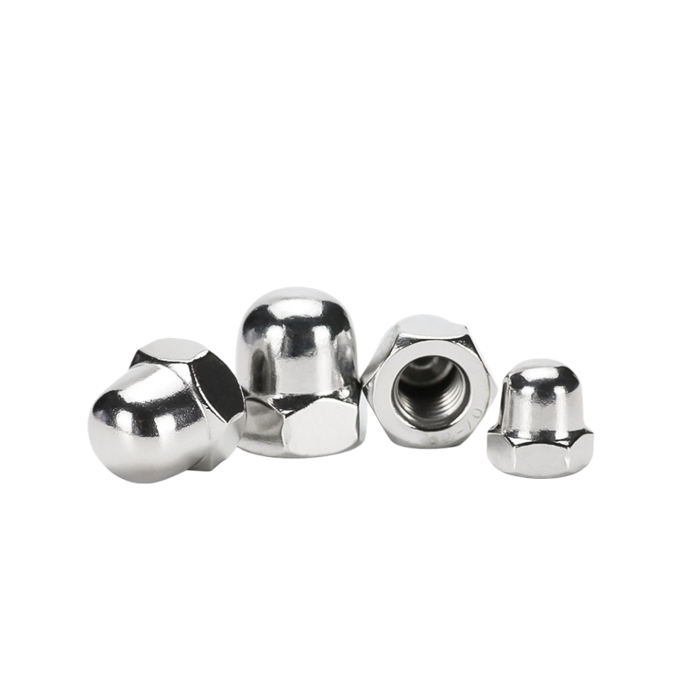 Wholesale stainless steel cap nut supplier from Dainan China factory
